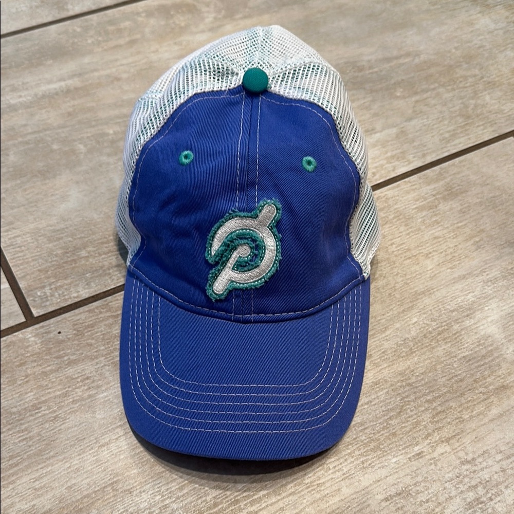 NWOT Peloton trucker hat, blue and green